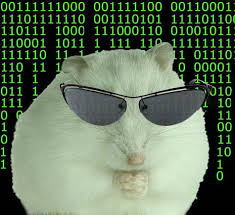 P.code의 신입 부원 모집 CTF